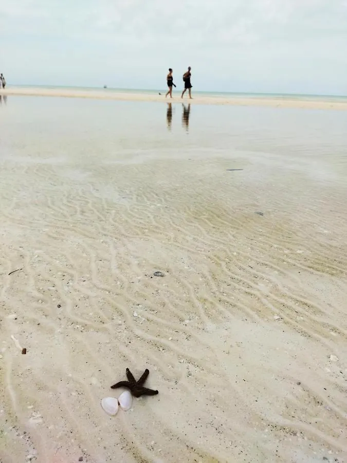 Hotel Hotelito Crismi Isla Holbox