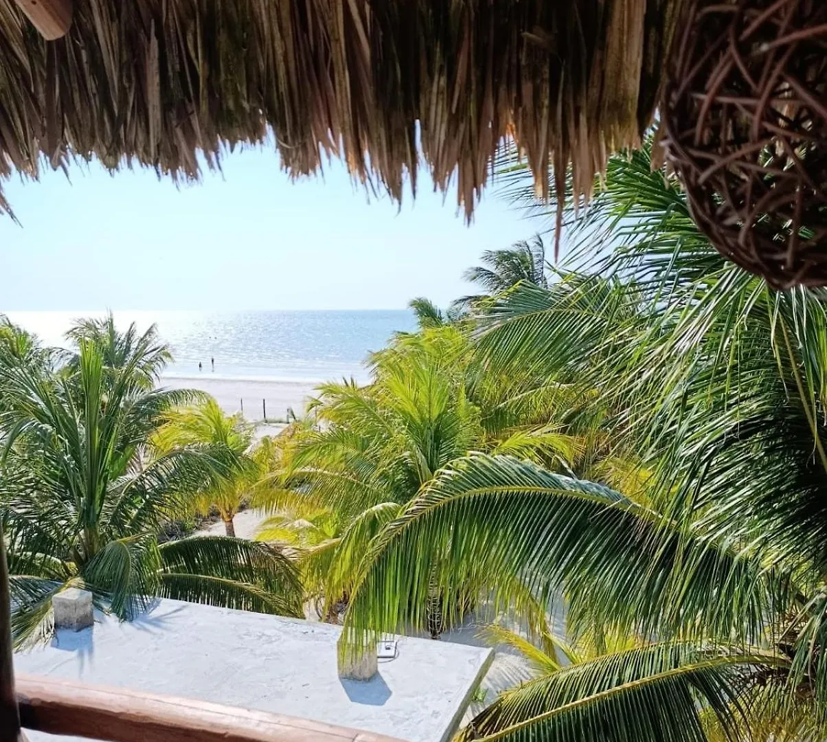Hotelito Crismi Isla Holbox Hotel